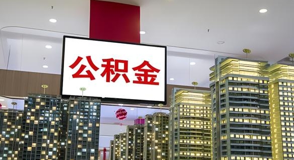 山东海口公积金买房政策（山东海口公积金买房政策是什么）